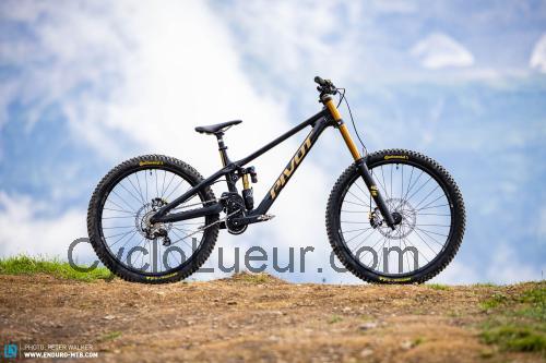 Pivot Cycles Phoenix fiche technique et avis
